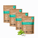 Vorratspack Zahnpflege‑Drops Frische Minze